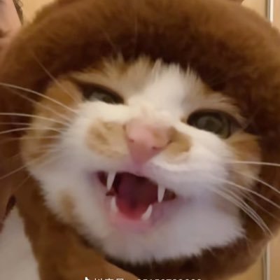 ymomo7086's profile picture. 