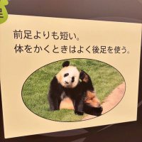 あ@27卒 (@gokigen_syukatu) Twitter profile photo