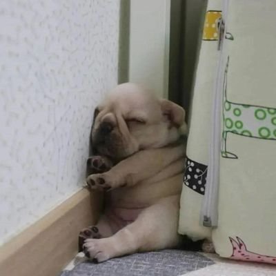 JD_San125's profile picture. 