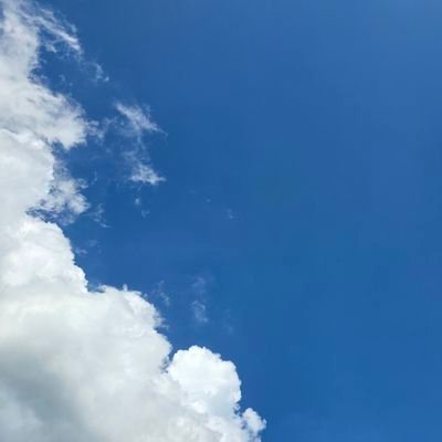 rkhy0928's profile picture. 