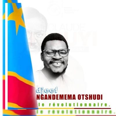 djeef_otshudi's profile picture. acteur politique.