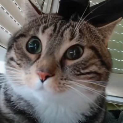 bbkkbbk2's profile picture. 