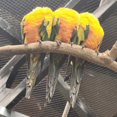 Abread273780's profile picture. i like cat filling breads