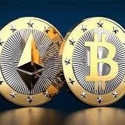 Crypto_update12's profile picture. crypto Project 🧬