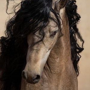 movingさんのプロフィール画像