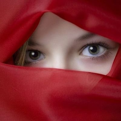 Je suis marié, donc pas de messages privés, s'il vous plaît. J'aime la plongée avec tuba et le tir à l'arc. Je défends les droits humains et les droits des anim