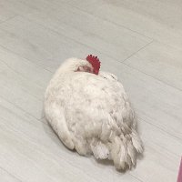 Mch (@mch0905) 's Twitter Profile