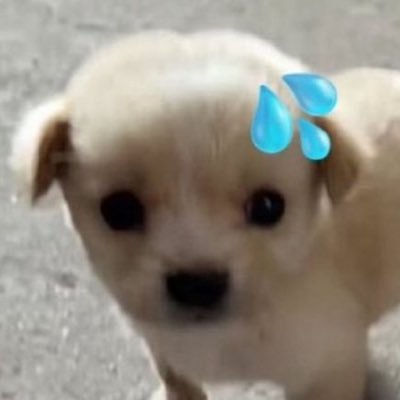 wa1ning's profile picture. 딸이아빠사랑해라고하면아빠:내아들안보인다고비키라고함