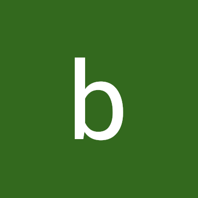 BotsJora9924's profile picture. 