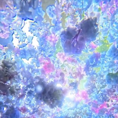 ronranrinrenrun's profile picture. 