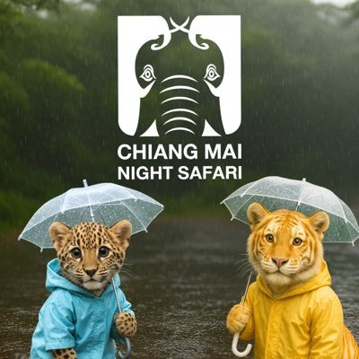 Official Account of Chiang Mai Night Safari
เปิดให้บริการทุกวันตั้งแต่เวลา 11.00 - 22.00 น.
(ปิดจำหน่ายบัตร เวลา 21.00 น.)
📞 สอบถามเพิ่มเติมโทร. 053 999 000
