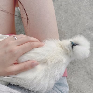 🌳🍃🐉 山登り・瞑想・少食を日課に、右脳優位にする人体実験中。運気・波動・魂レベル上げを探求するのがライフワーク✨小林正観さんの「ありがとう」&トイレ掃除実践。百田尚樹・居島一平・坂本頼光最推し!