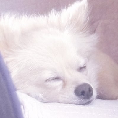 dmrさんのプロフィール画像