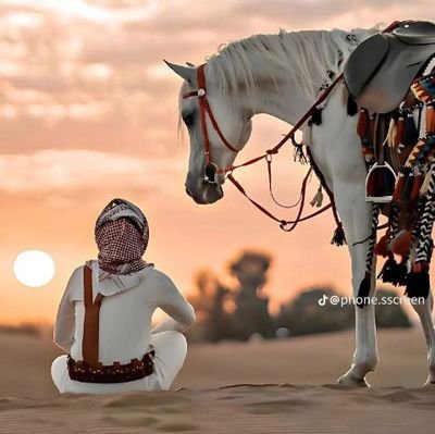 رَبِّ أَدْخِلْنِي مُدْخَلَ صِدْقٍ وَأَخْرِجْنِي مُخْرَجَ صِدْقٍ وَاجْعَلْ لِي مِنْ لَدُنْكَ سُلْطَانًا نَصِيرًا