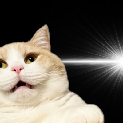 nyan_room_'s profile picture. 詐欺並の重加工┆低身長┆DM返信🐢🐢🐢🐢┆🔇推奨┆リトリン必読➤https://t.co/c9JTKepZ1v