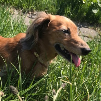 asdk1799909's profile picture. 