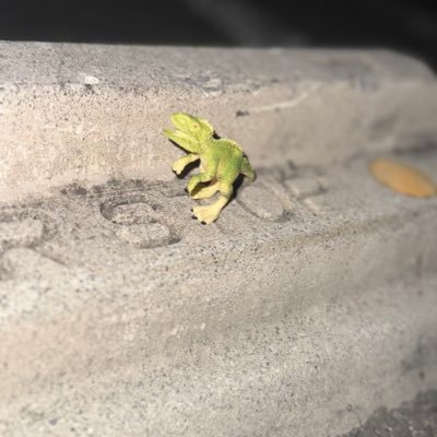 syoki1532's profile picture. 28歳 岐阜住み 趣味の話できる方募集 FGO、TOP4、御朱印集め、東海オンエア、ダイエット、UVERworld、KPOP Vtuber、配信者などが好き