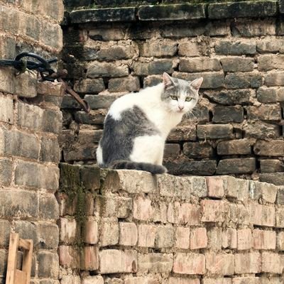 851813534Kiki's profile picture. 