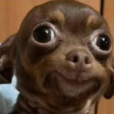 dreamyjuno's profile picture. 