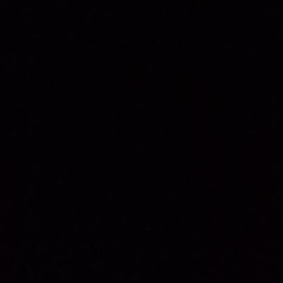 amarealla's profile picture. 🐱