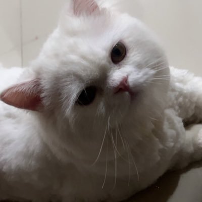 w52027's profile picture. 
