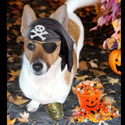 Dogs🐾&Suzy💁🏼♀️
#ZSHQ #OTLFP #RuffRiderz
#TheAviators
👱♀️Retired Choreo💃🏼SpecialEvents👰Masters in Classics👩🎓
#SevereME #Fibro 🙏🇺🇦