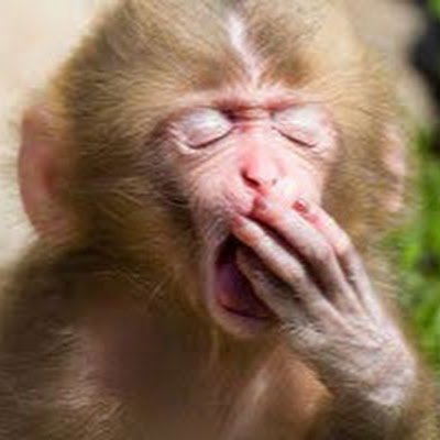 ninja1100sx's profile picture. 