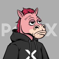 Shizo | PegaX.ai (@shizo_pegax) 's Twitter Profile