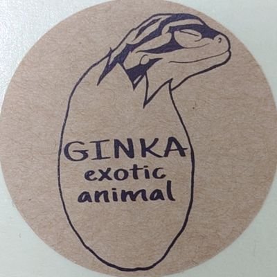 浜松市の爬虫類ショップGINKAの中の人
ショップと言いつつ自分の好きな子を集めて愛でるだけの日々
一応店垢(@GINKA870)もあれど
面倒臭がりと不器用を遺憾無く発揮
機能していないという
老眼の為誤字脱字はツッコミ不要