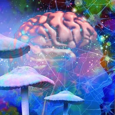 Exploring the mind ✨ | Sharing insights on psychedelics, consciousness & inner growth 🌌