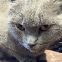 reema (@ewrtl8) 's Twitter Profile