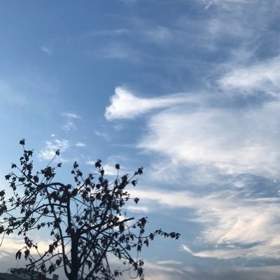 weam4452's profile picture. دَرعـا || 08.12 || @weam44522
