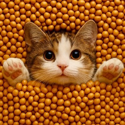 Creating a community of halpers. Letās make the crypto & real world a better place!
https://t.co/kfEnh6jCA4 | https://t.co/Pq0znyuTKG
PRESALE LIVE ON HELIO š