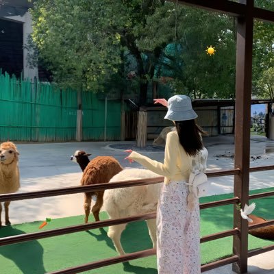 zymffx's profile picture. 网络资源、知识、小说、游戏、影视免费分享者，关注一波不亏哦～～～侵权请私信💗🍭求赞求转发求关注🙏   没有即时fo回请私我哦