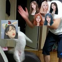 유스 (@3o_o19) 's Twitter Profile Photo 유스 (@3o_o19) 's Twitter Profile Photo
