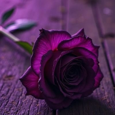 Manusia itu paling banyak berbuat kesalahan, tetapi sedikit yang mau muhasabah.
⛔Manusia nol akhlaq, Pornolover
⛔Kepo info pribadi 🙏
📖💍 Married