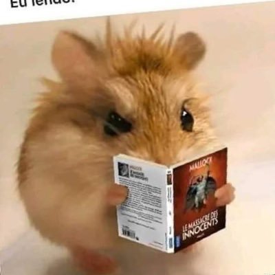 GhostReader_13's profile picture. 