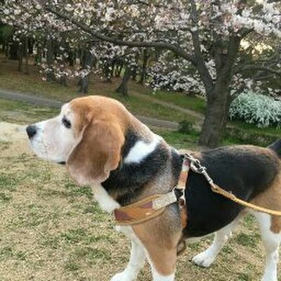 Q49I4's profile picture. 