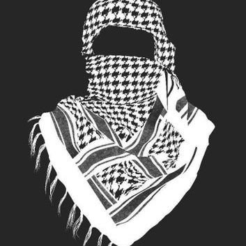 hadi__omar's profile picture. #ضد_التطبيع و ضد كل الأقليات الخائنة لأوطانها من فارسية و صهيونية.