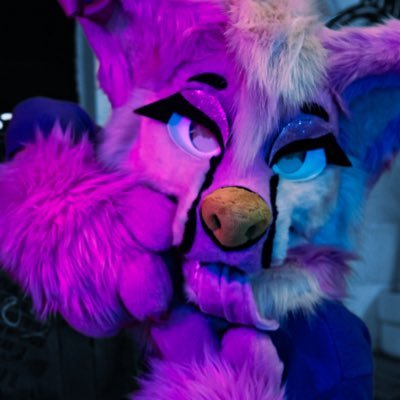 SussexFurs Chair (Brighton) & FS staff. Attending ➡️ Scotia26, FS26, CFz26