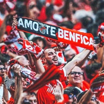 D19G0R4MOS's profile picture. 