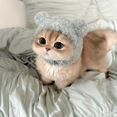 4ypo5xrIZBeXPzG's profile picture. 中部人