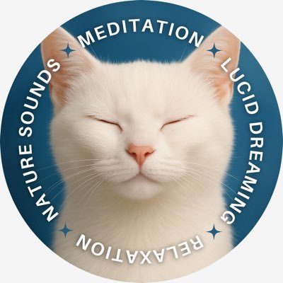 WhiteDesertCat's profile picture. 🪄Keeper of White Desert Cat — a quiet YouTube space of nature, dreams, and healing sounds for calm, focus, and rest. 🛌Oneironaut since childhood.