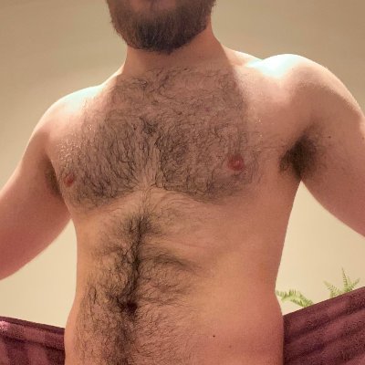 n15446's profile picture. 