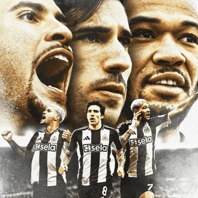 barrelrogue1723's profile picture. Newcastle Utd fan🖤🤍100% Geordie 🖤🤍🖤🤍🖤🤍🖤🤍🖤🤍🖤🤍🖤🤍🖤🤍🖤🤍🖤 Love a bit of boxing🥊🥊