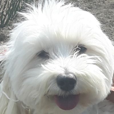 makku0719's profile picture. 「我思う、ゆえに我あり」

　　　　　　　　　　　　　　　　　　　　　　　　　　　　（A man is not finished when he is defeated. He is finished when he quits.）九死に一生あるならまだ諦めない。　　　　　　　　　　　　　大きくなるよ。