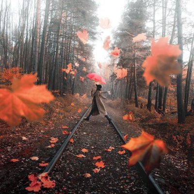 BarekWassila's profile picture. 