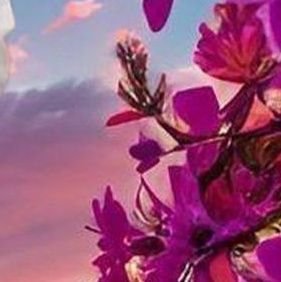 Zroiaejd's profile picture. #الملك_سلمان_ 88_سنة أطال الله في عمره

وحفظك الله للوطن وشعبه طويل