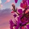 Zroiaejd's profile picture. #الملك_سلمان_ 88_سنة أطال الله في عمره

وحفظك الله للوطن وشعبه طويل
