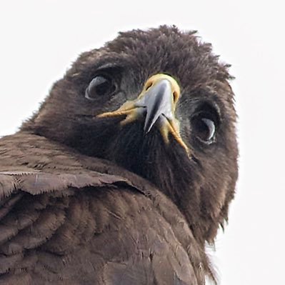 Salesmk3's profile picture. 「我本客屬人，鄉語逕自忘， 戚然傷抱懷，數典愧祖宗」-賴和 。

亂亂推的推，想到什麼寫什麼！
一切隨緣！